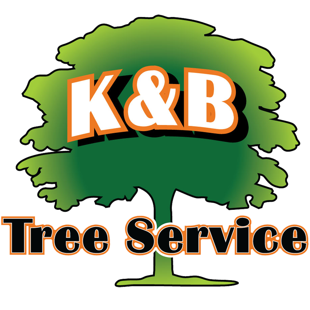 K&B Tree Service